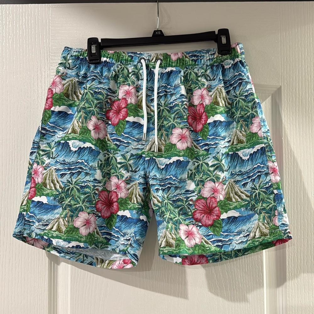 NWT Men’s Franks Swim Trunks‎ Oahu Floral Volcano Print Size Large Australia